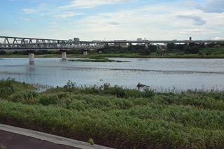 DSC_0024-1.jpg