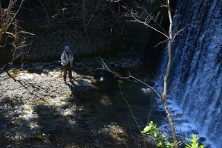 DSC_0073.jpg