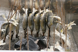 IMG_0023.jpg