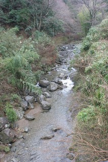 IMG_0502.jpg