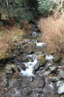 IMG_6161.jpg