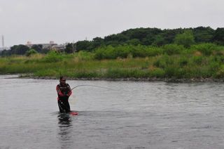 s-DSC_8411.jpg