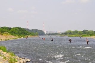 s-DSC_8430.jpg